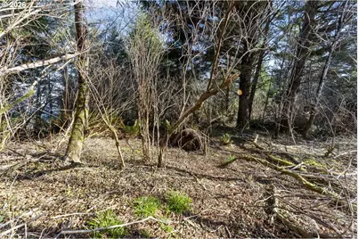 Fiddleback, North Bend, OR 97459 - Photo 11