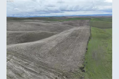 Harvey Shaw Rd, Walla Walla, WA 99362 - Photo 1