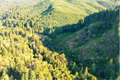 Honeygrove Rd #TL200, Alsea, OR 97324 - Photo 17