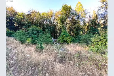 Honeygrove Rd #TL200, Alsea, OR 97324 - Photo 5