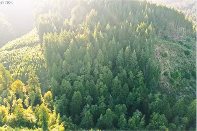 Honeygrove Rd #TL200, Alsea, OR 97324 - Photo 35