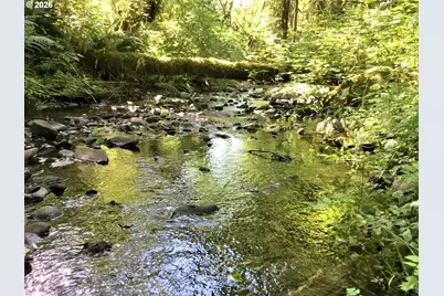 Honeygrove Rd #TL200, Alsea, OR 97324 - Photo 9