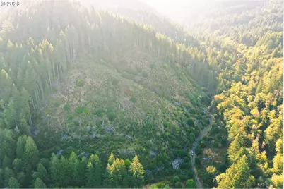 Honeygrove Rd #TL200, Alsea, OR 97324 - Photo 13