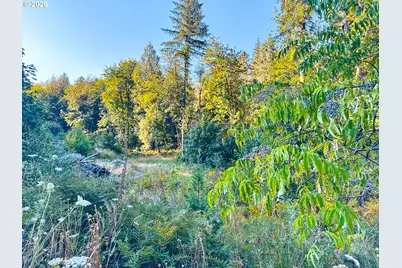 Honeygrove Rd #TL200, Alsea, OR 97324 - Photo 3