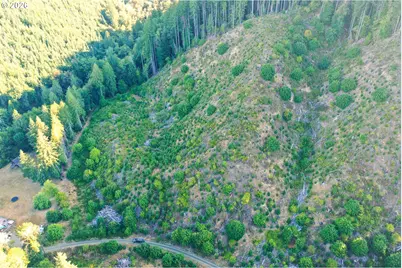 Honeygrove Rd #TL200, Alsea, OR 97324 - Photo 23