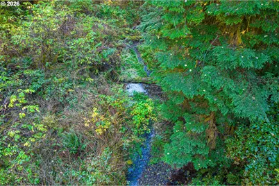 Honeygrove Rd #TL200, Alsea, OR 97324 - Photo 7