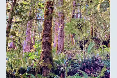 Honeygrove Rd #TL200, Alsea, OR 97324 - Photo 37