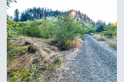 Honeygrove Rd #TL200, Alsea, OR 97324 - Photo 43