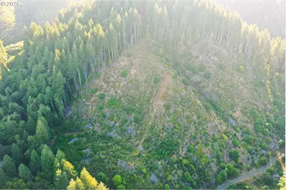 Honeygrove Rd #TL200, Alsea, OR 97324 - Photo 21