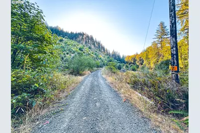 Honeygrove Rd #TL200, Alsea, OR 97324 - Photo 41