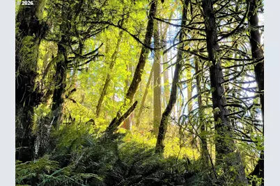 Honeygrove Rd #TL200, Alsea, OR 97324 - Photo 39