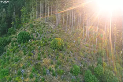 Honeygrove Rd #TL200, Alsea, OR 97324 - Photo 29