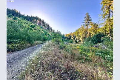 Honeygrove Rd #TL200, Alsea, OR 97324 - Photo 1