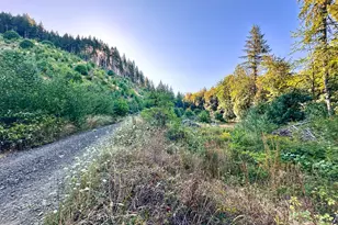 Honeygrove Rd, Alsea, OR 97324 - Photo 1