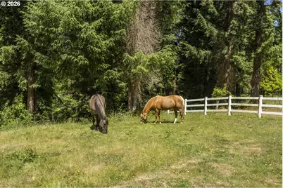 3296 E Alsea Hwy, Waldport, OR 97394 - Photo 33