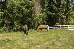 3296 E Alsea Hwy, Waldport, OR 97394 - Photo 33