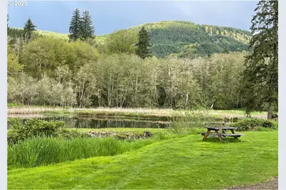 685 Morse St, Ryderwood, WA 98581 - Photo 15