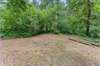 34102 NE 14th Ave, La Center, WA 98629 - Photo 39