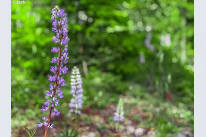 75125 E Mt Hood Hwy, Rhododendron, OR 97049 - Photo 33