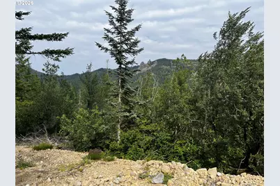 0 Snag Mountain Rd #112, Washougal, WA 98671 - Photo 5