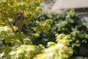 6421 N Mississippi Ave, Portland, OR 97217 - Photo 41