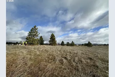 Mt. View Ranch Rd., Centerville, WA 98613 - Photo 11