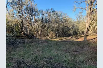 1 NE Pearce Rd #1, Roseburg, OR 97470 - Photo 11