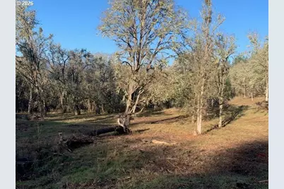 1 NE Pearce Rd #1, Roseburg, OR 97470 - Photo 9