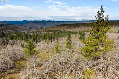 2455 Osborn Cutoff Rd, Mosier, OR 97040 - Photo 23