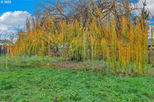 154 37th St, Springfield, OR 97478 - Photo 31