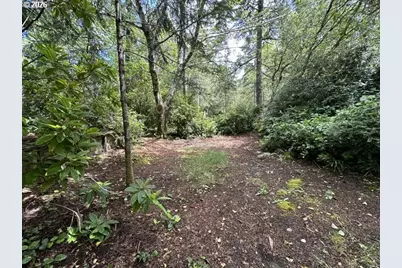 3960 Munsel Creek Dr, Florence, OR 97439 - Photo 33