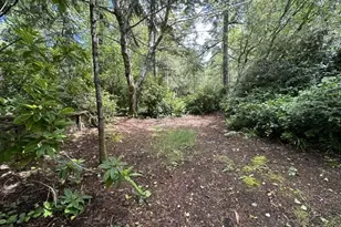 3960 Munsel Creek Dr, Florence, OR 97439 - Photo 33