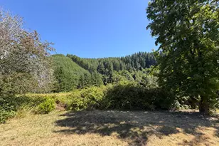 10082 Lone Pine Ln, Myrtle Point, OR 97458 - Photo 7