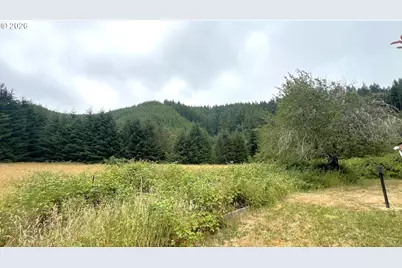 10082 Lone Pine Ln, Myrtle Point, OR 97458 - Photo 7