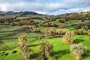 1104 Rio Nes Ln, Roseburg, OR 97470 - Photo 23