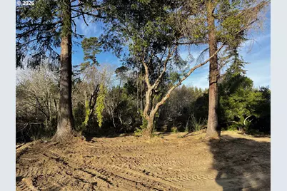 88336 Hwy 101, Florence, OR 97439 - Photo 7