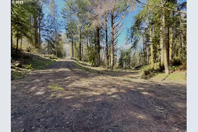 Fiddle Back Lot 7, North Bend, OR 97459 - Photo 7