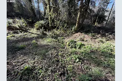 Fiddle Back Lot 7, North Bend, OR 97459 - Photo 9