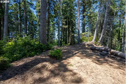 70298 Highway 101, North Bend, OR 97459 - Photo 39