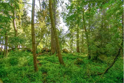 River Cliffs Dr, Saint Helens, OR 97051 - Photo 11
