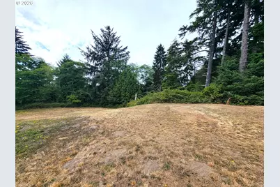24313 Gile Pl, Ocean Park, WA 98640 - Photo 9