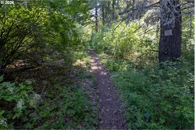 3955 Country Pine Dr, Mount Hood Prkdl, OR 97041 - Photo 33