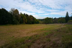 17269 Sheely Creek Rd, Vernonia, OR 97064 - Photo 19