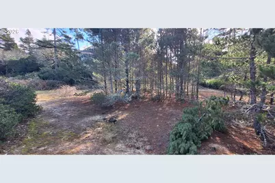 87977 Kelsie Way, Florence, OR 97439 - Photo 3