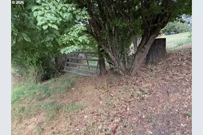 0 SE Fifth St, Oakland, OR 97462 - Photo 3