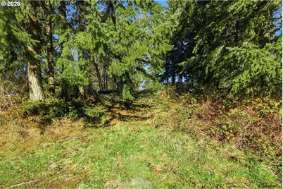 0 Feather Ridge Dr, Kalama, WA 98625 - Photo 9
