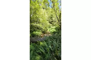 32051 Cedar Vly Rd, Gold Beach, OR 97444 - Photo 35