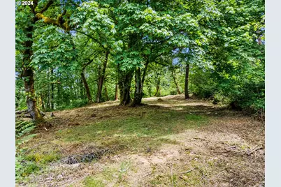 20717 S Monpano Overlook Dr, Oregon City, OR 97045 - Photo 19