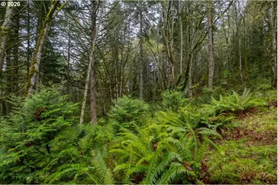 29920 Bartels Creek Dr, Lebanon, OR 97355 - Photo 43