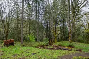 29920 Bartels Creek Dr, Lebanon, OR 97355 - Photo 41